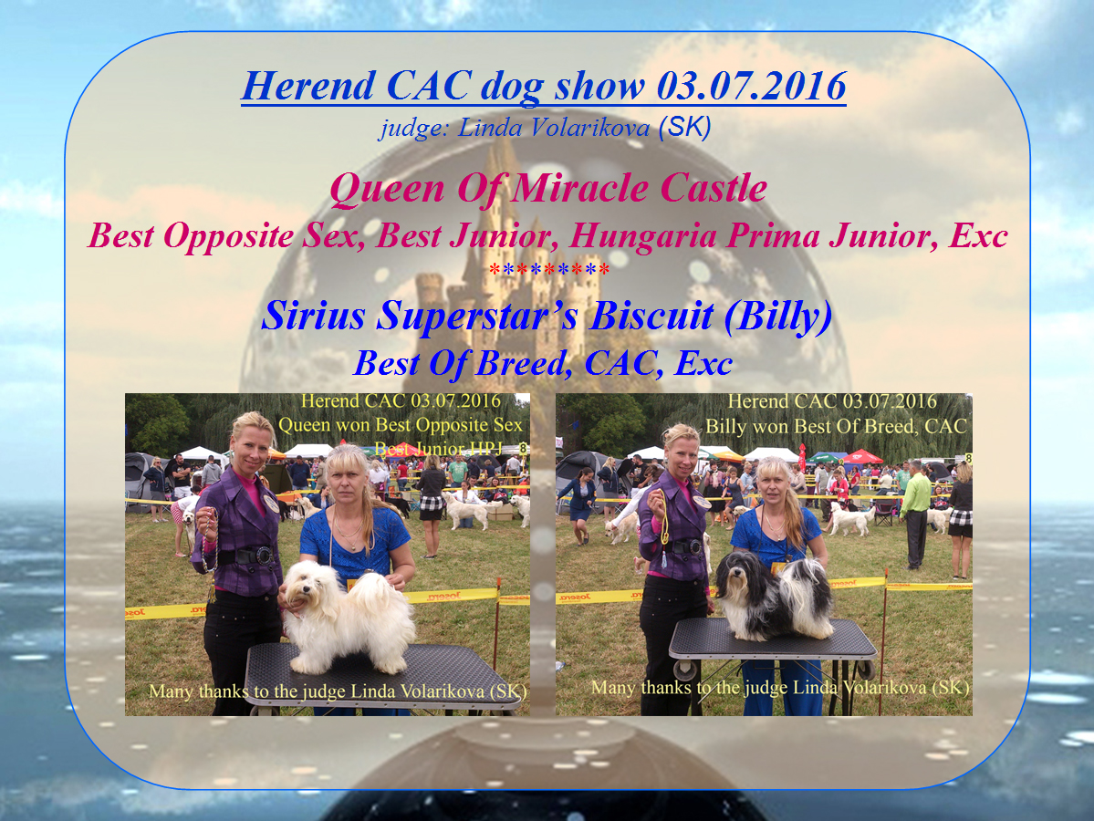 Herend CAC dog show 03.07.2016#