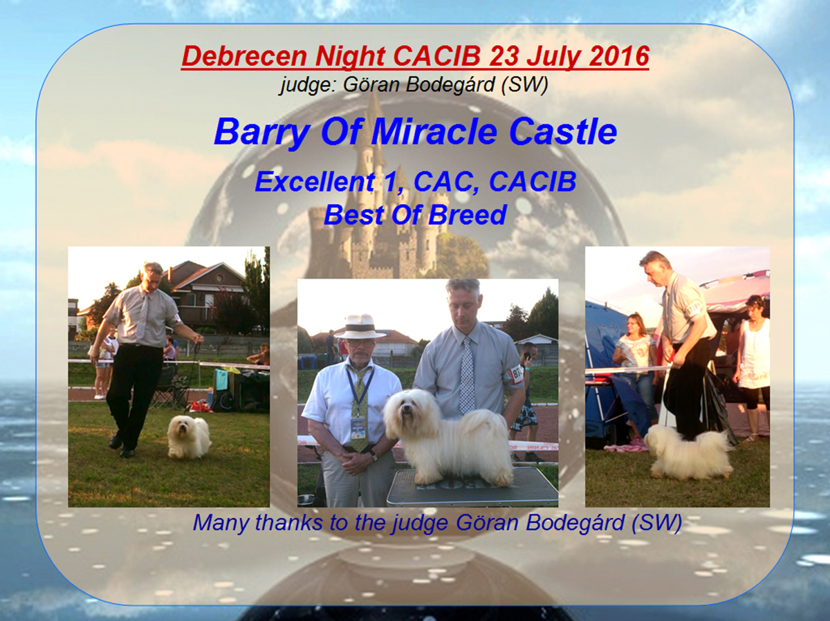 Debrecen Night CACIB 23 July 2016#