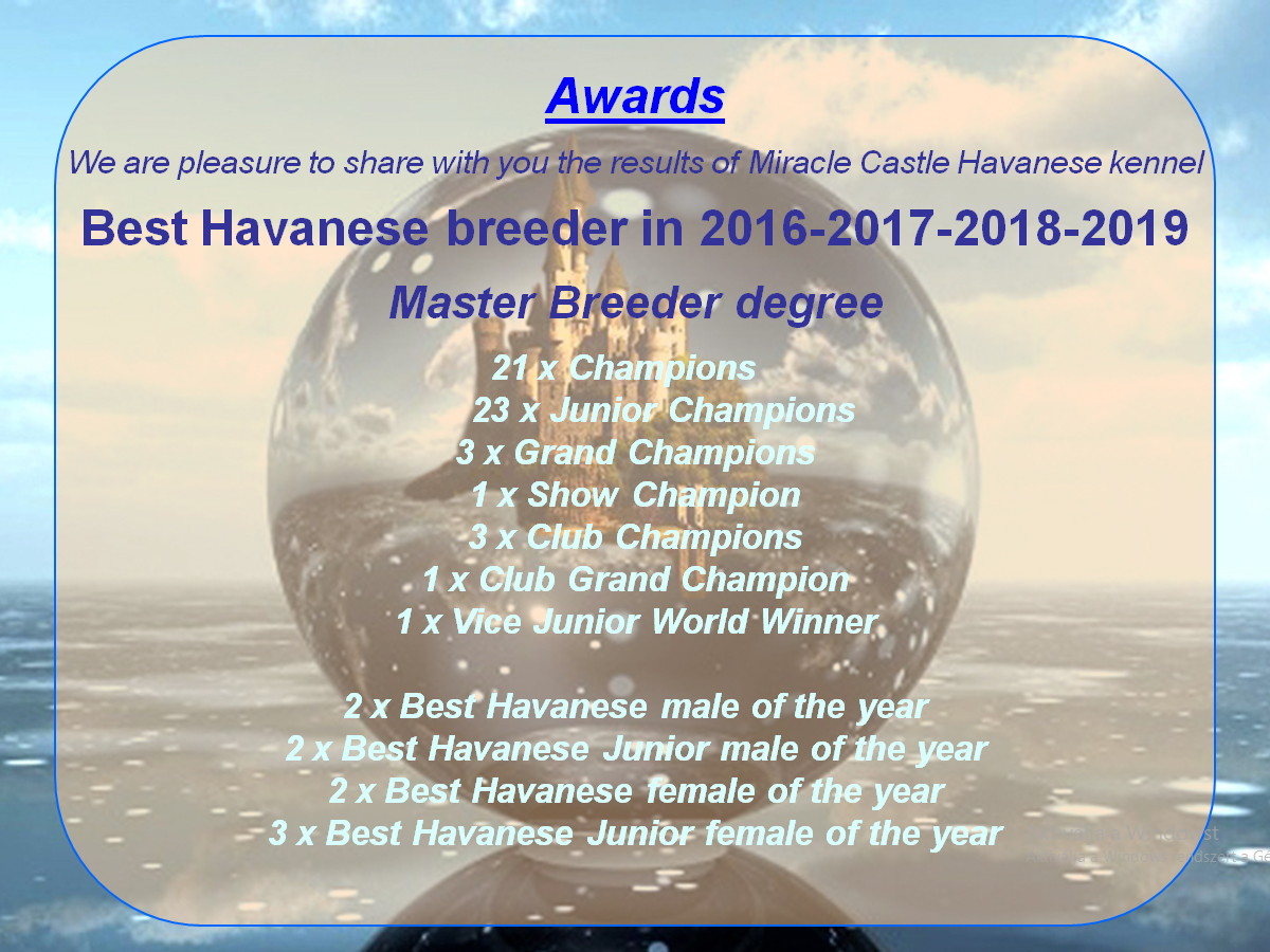 Awards Havanese Bichon#