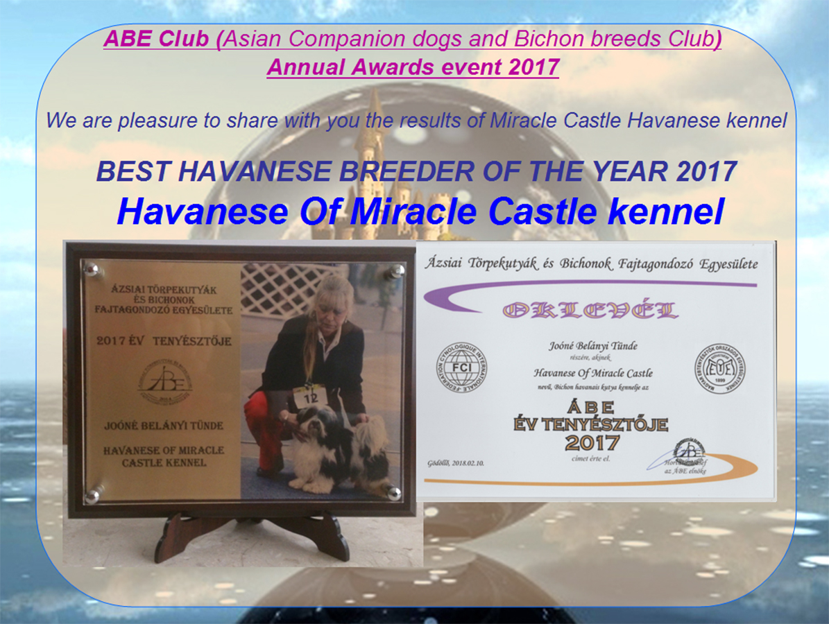 ABE Club (Asian Companion dogs and Bichon breeds Club) Annual Awards event 2017#