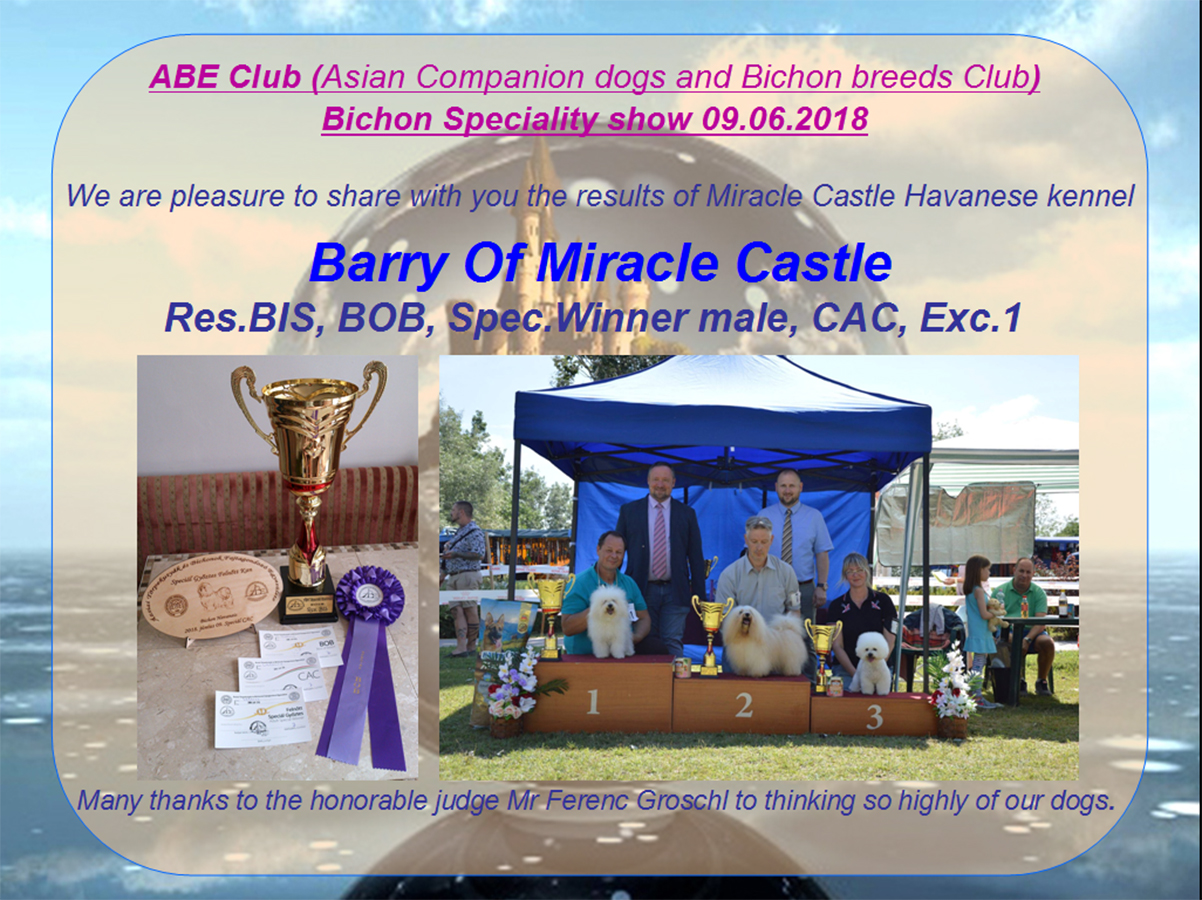 ABE Club (Asian Companion dogs and Bichon breeds Club) Bichon Speciality show 09.06.2018 Barry#