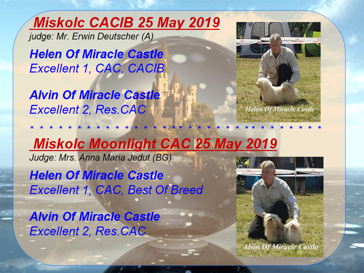 Miskolc CACIB 25 May 2019 Moonlight CAC#